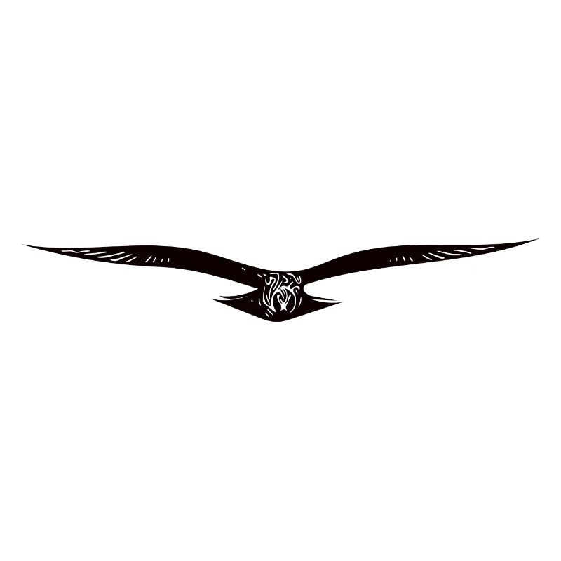Elegant flying eagle