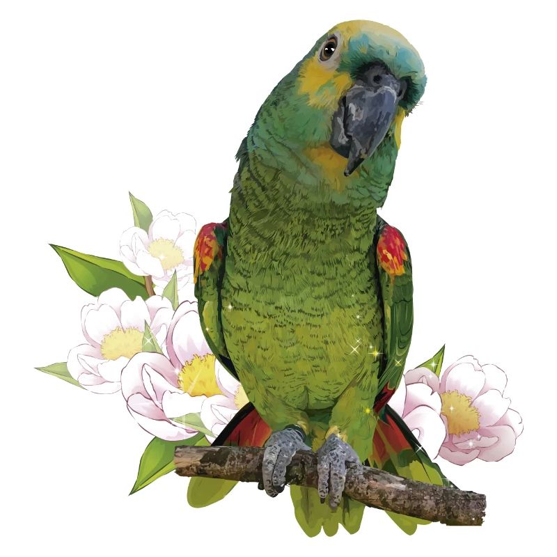 The blue-fronted amazon