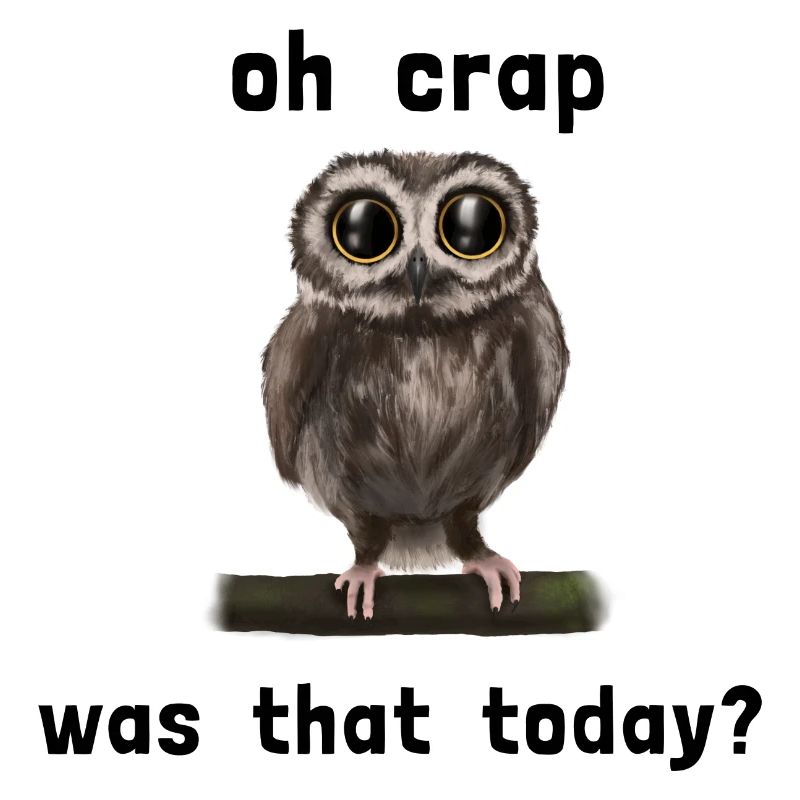 Uhu Eule - forgetful