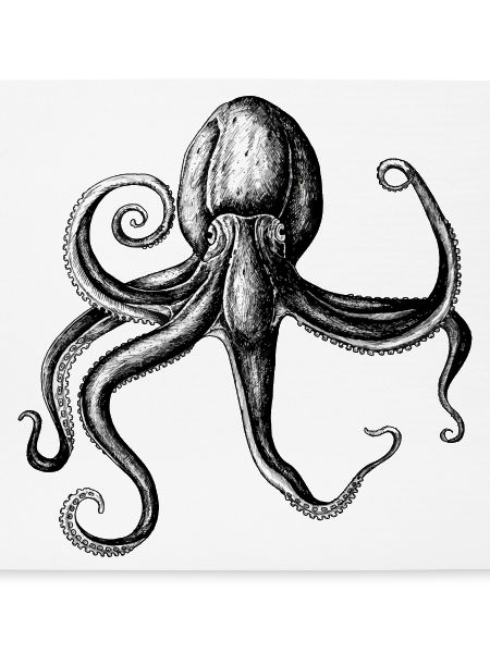 Monochrome Tintenkrake Illustration
