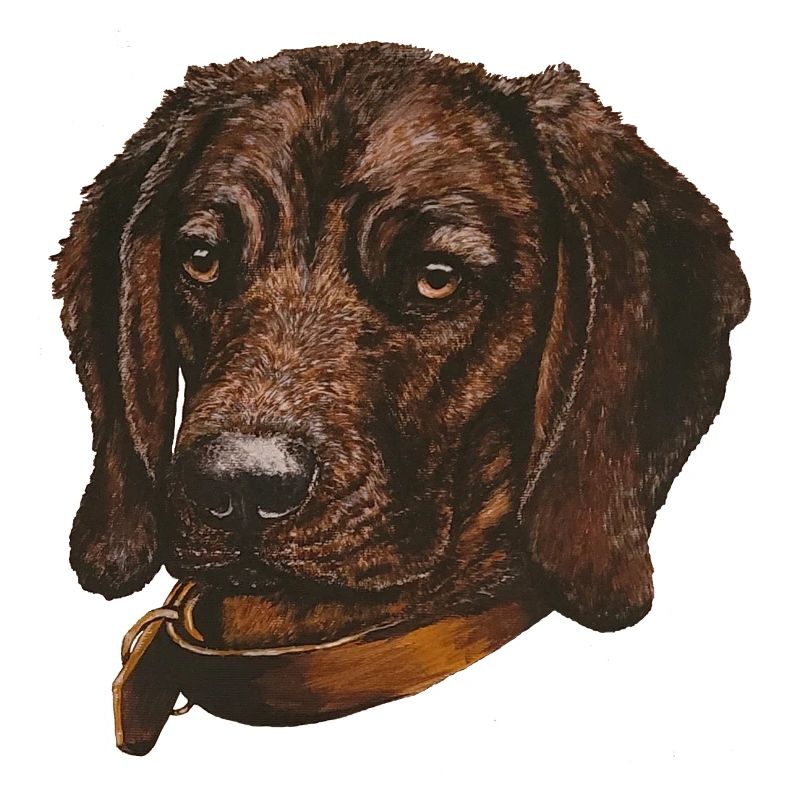 BGS Portrait Birke