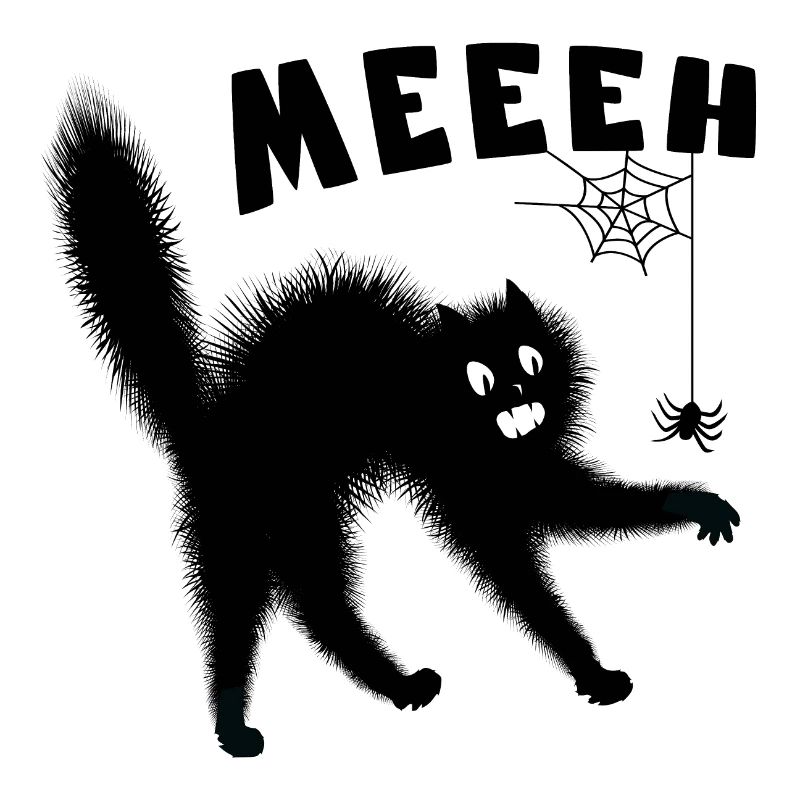 Meeh - Katze, die von einer Spinne erschreckt wird - Humor