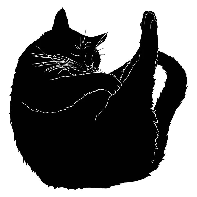 Katze beim Schlafyoga