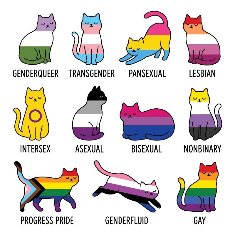 LGBTQ-Pride-Monat – Rainbow Cats