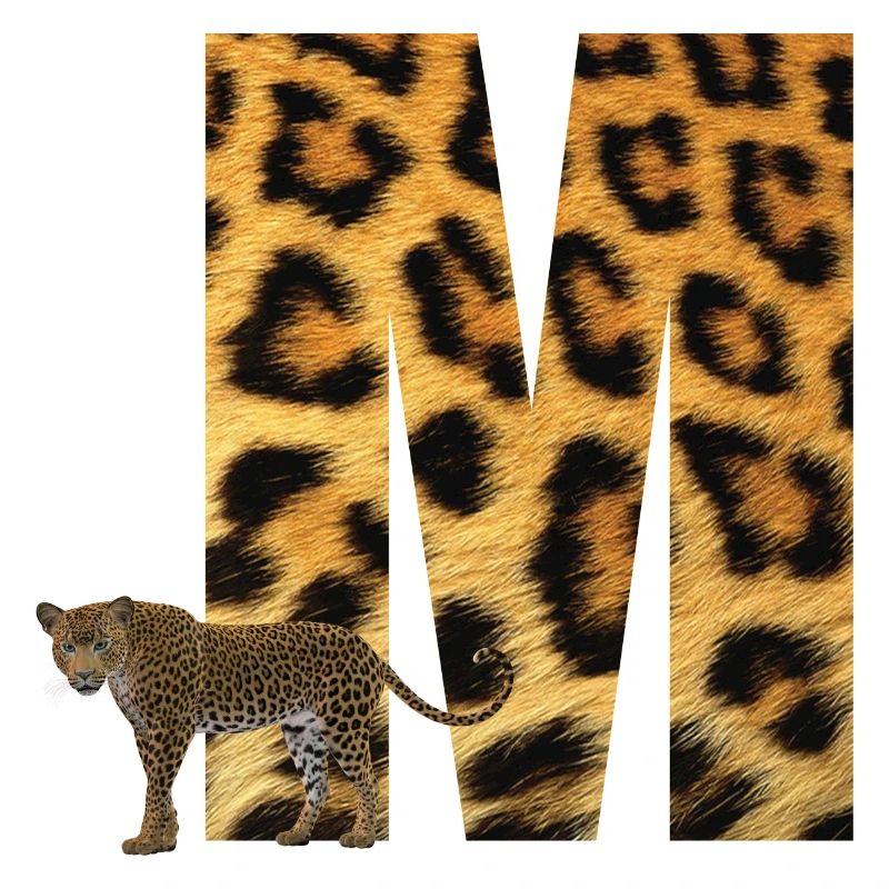 leopard m