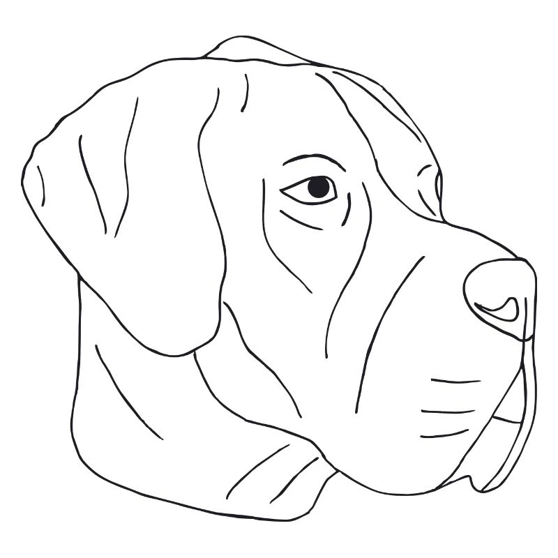 Deutsche Dogge