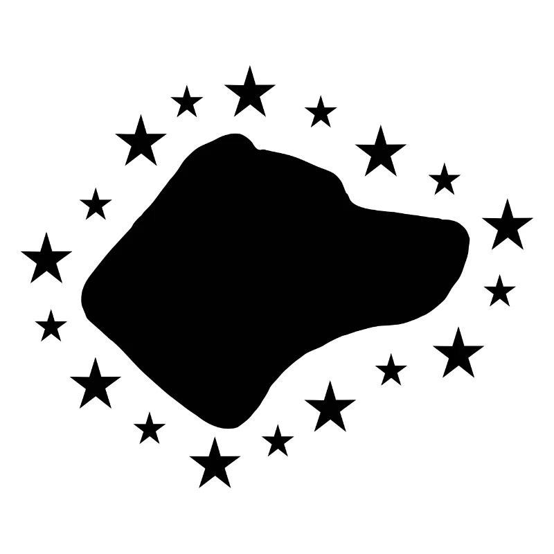 Jack Russell Terrier