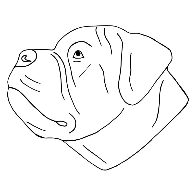 Bullmastiff Kopf
