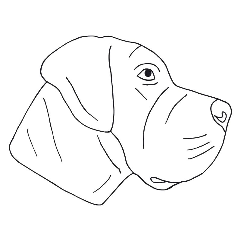Deutsche Dogge