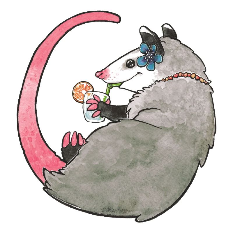 Sommerliches Opossum