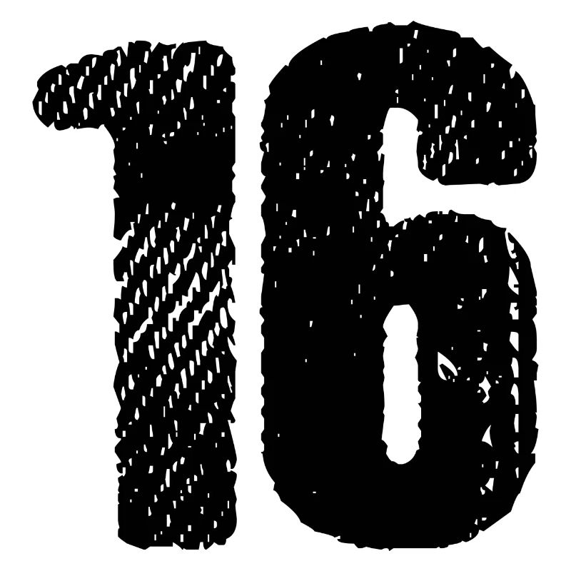 16 Zahl Trikot