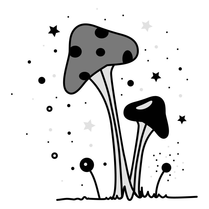 Zauber Pilze