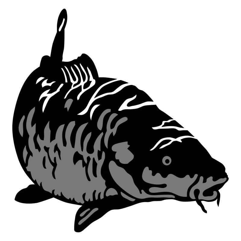 Carp