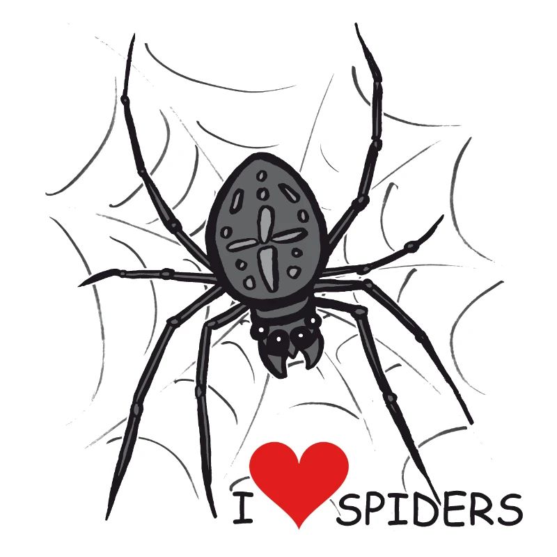 Spinne, Spinnennetz, Halloween