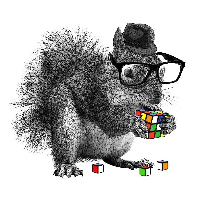 Rubik's Squirrel