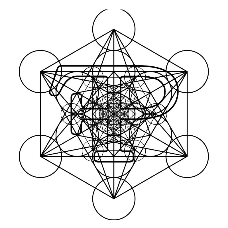 FramePace Metatron's Cube Schwarz