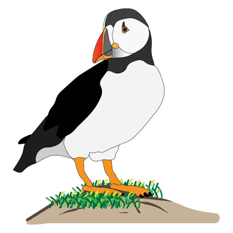 Puffin Print