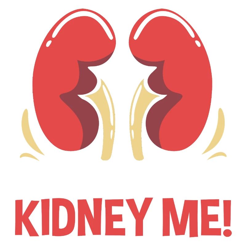 Organspende Transplantation Nierenspender