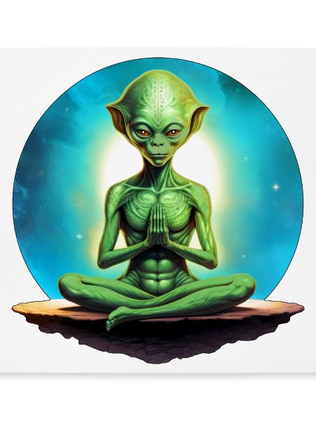Aliens Yoga / Yogi Alien