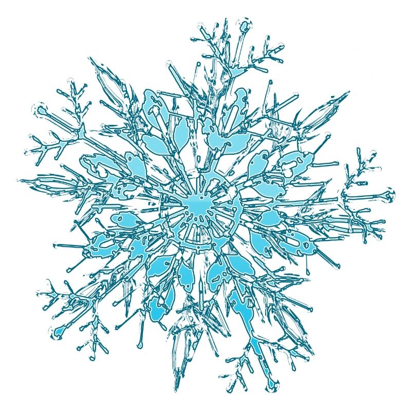 Snowflake / Schneeflocke