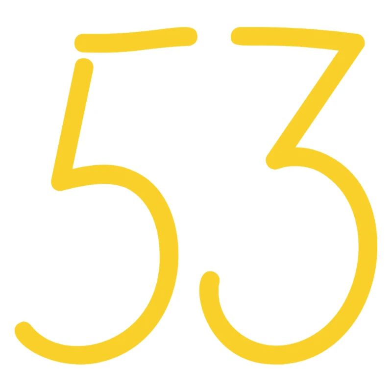 53