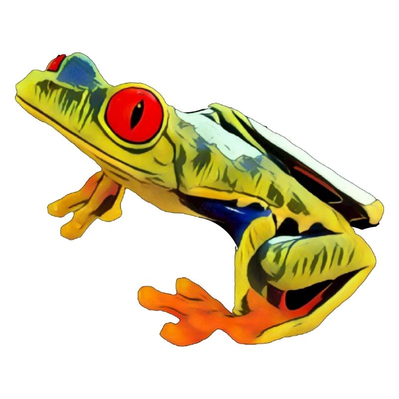 Red Eyed Tree Frog Exotic Pet Cute