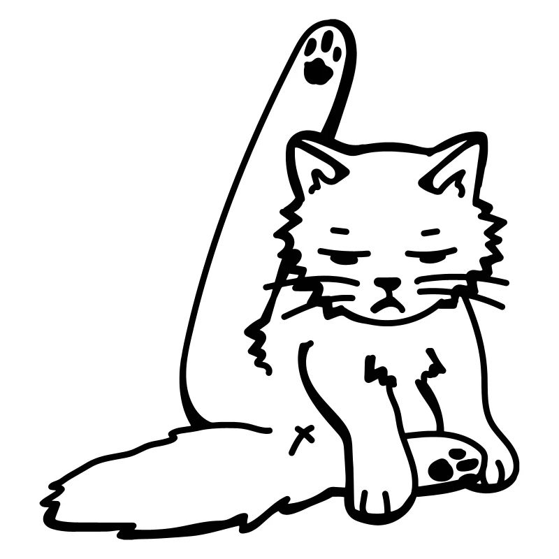 Katze putzt sich / Grumpy cat cleanig