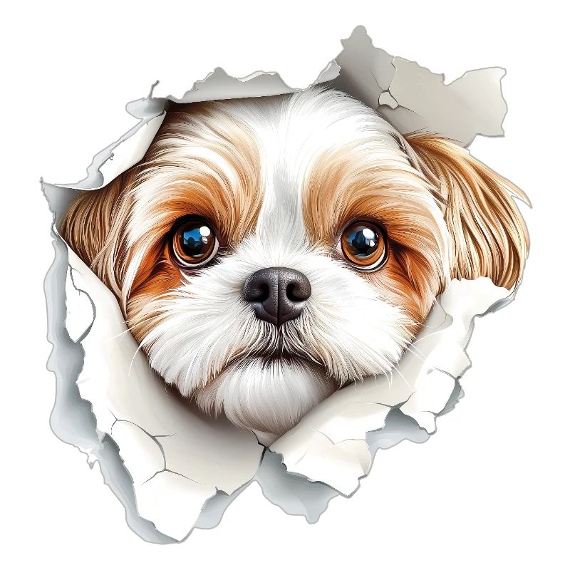 Shih Tzu