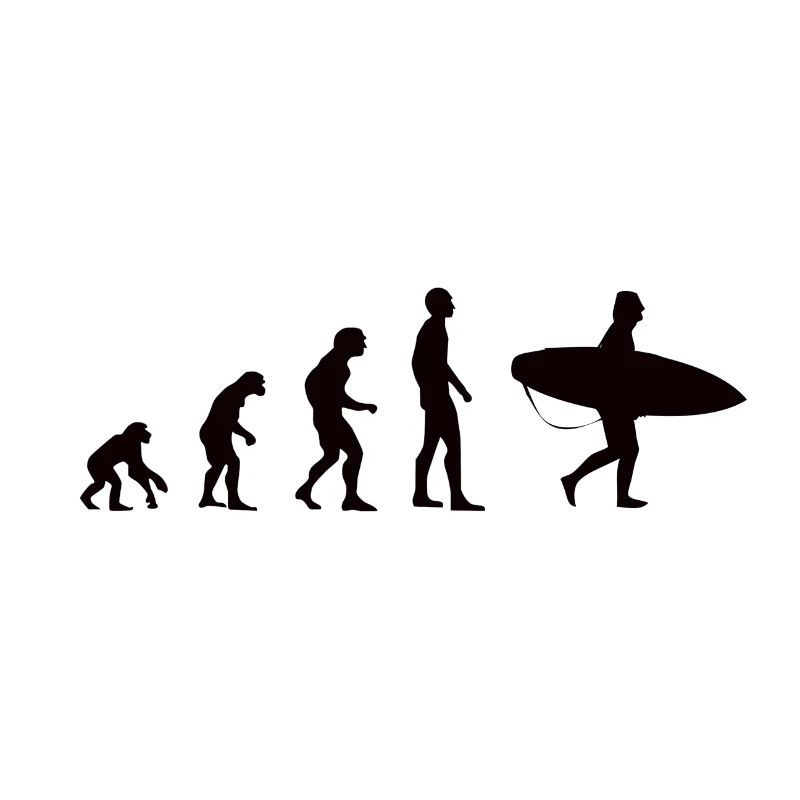 Evolution Surfing
