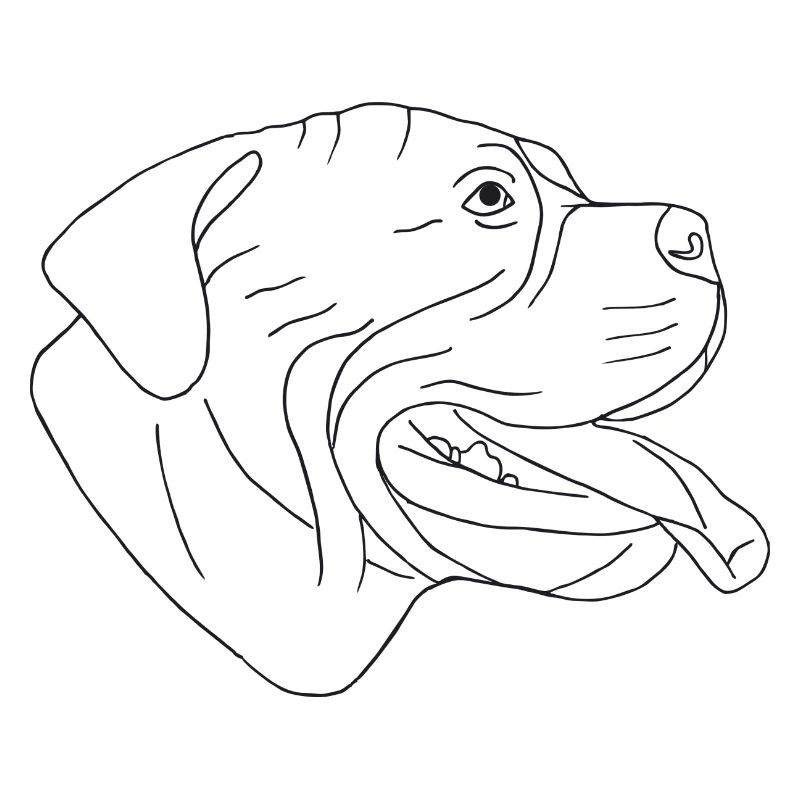 Bullmastiff