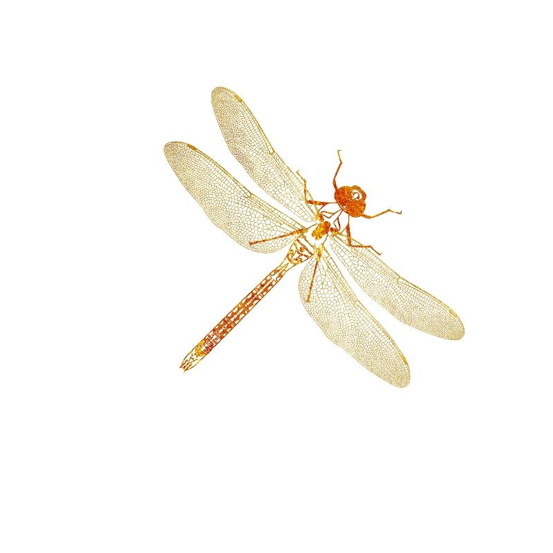 Libellule or