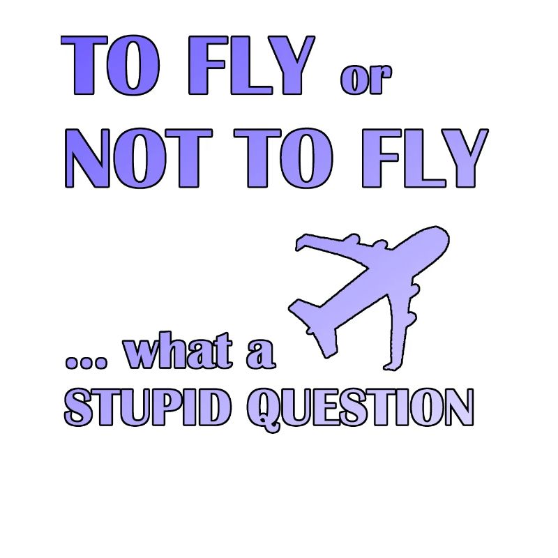 To fly or not fly pilot