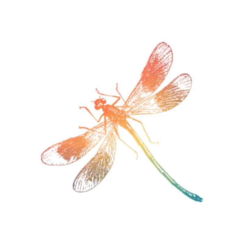 Bunte Regenbogen Libelle