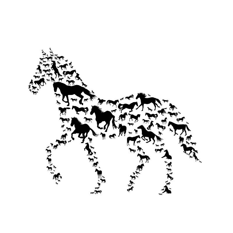 Pferde Pferde Reiten