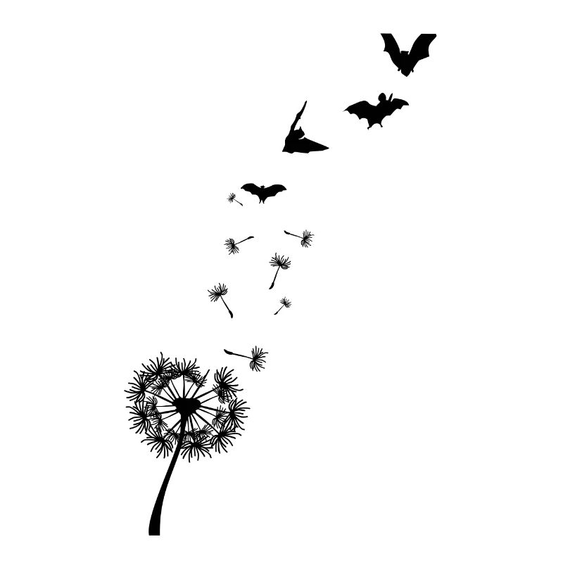 Fledermaus Pusteblume