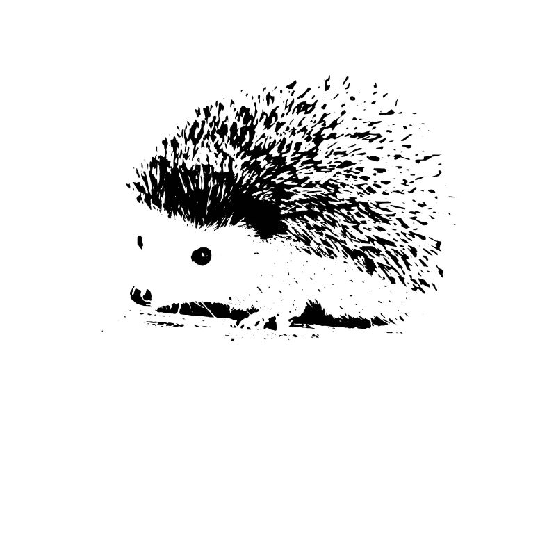 Igel