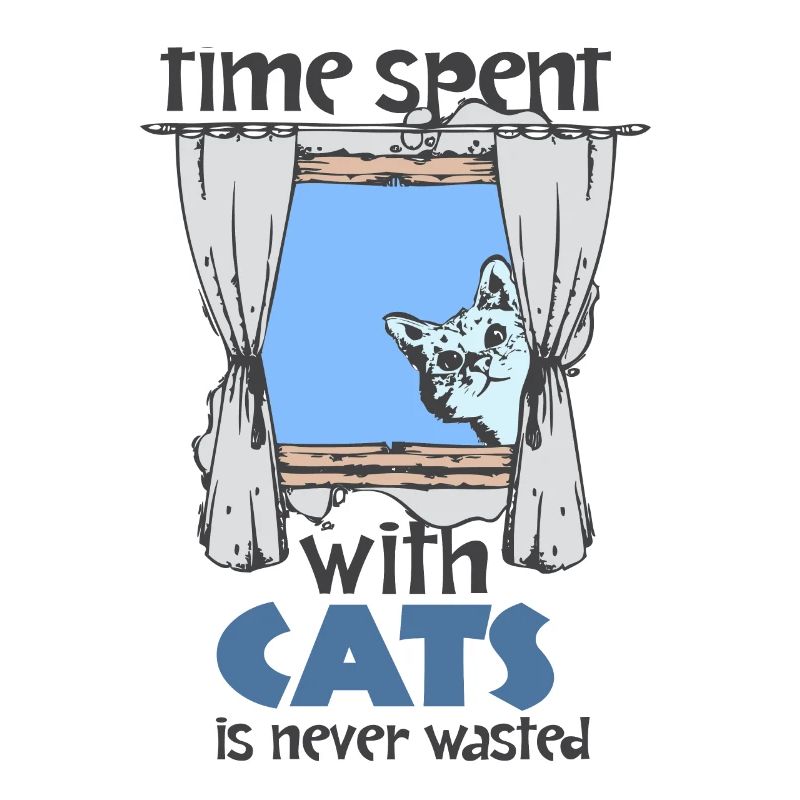 CHAT, chats, chatons, cadeau, idée cadeau