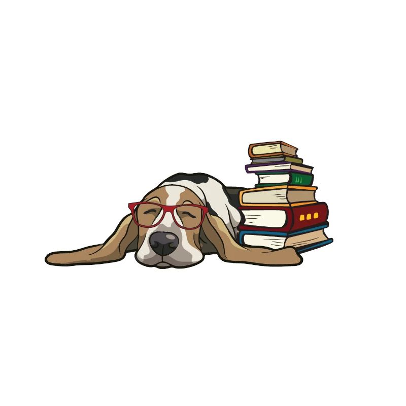 Basset Hound 1
