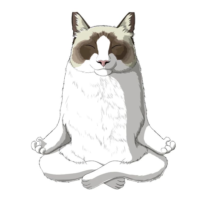Ragdoll Cat