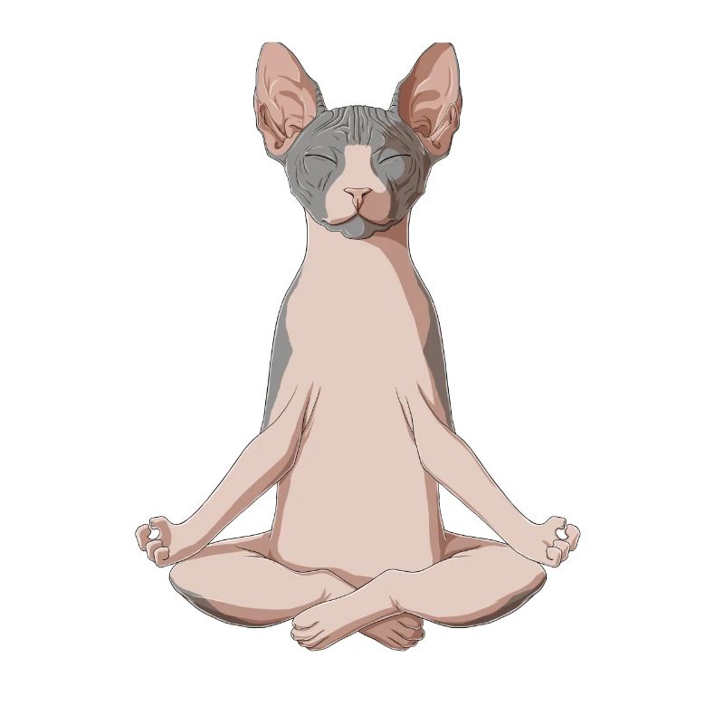 Sphynx Katze