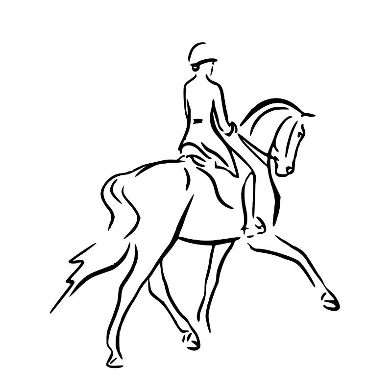 Dressurreiten