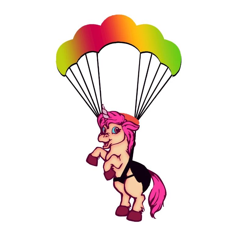 Gleitschirm fliegen
