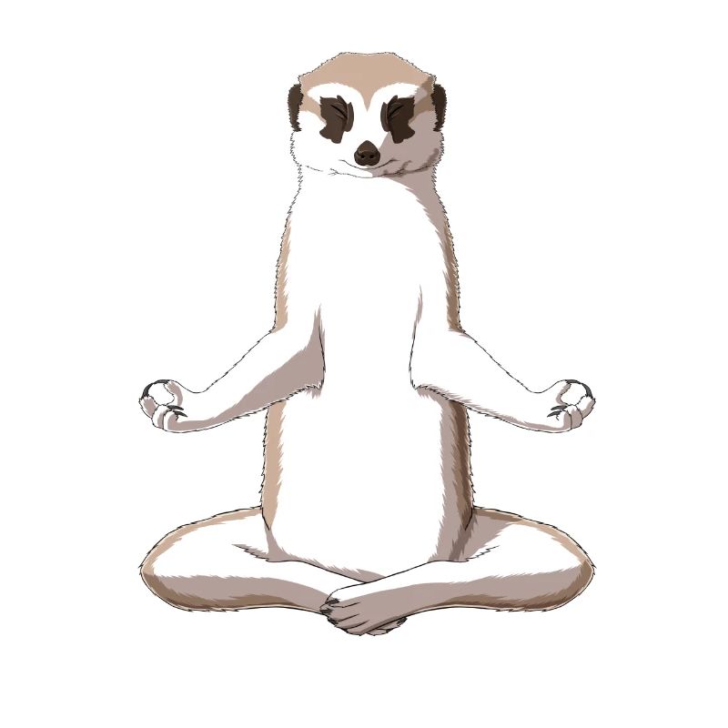Meditation Erdmännchen