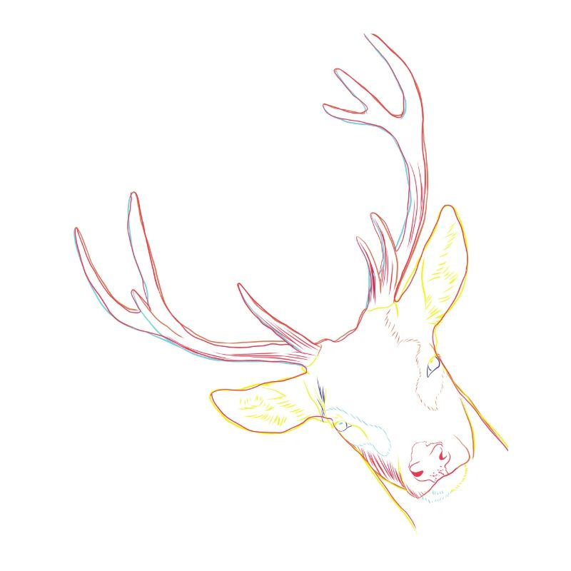 Hirsch