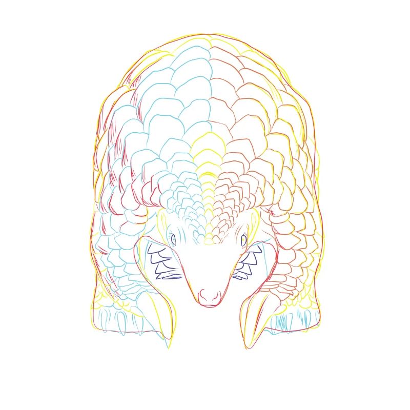 Pangolin