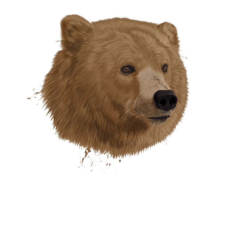 Bär