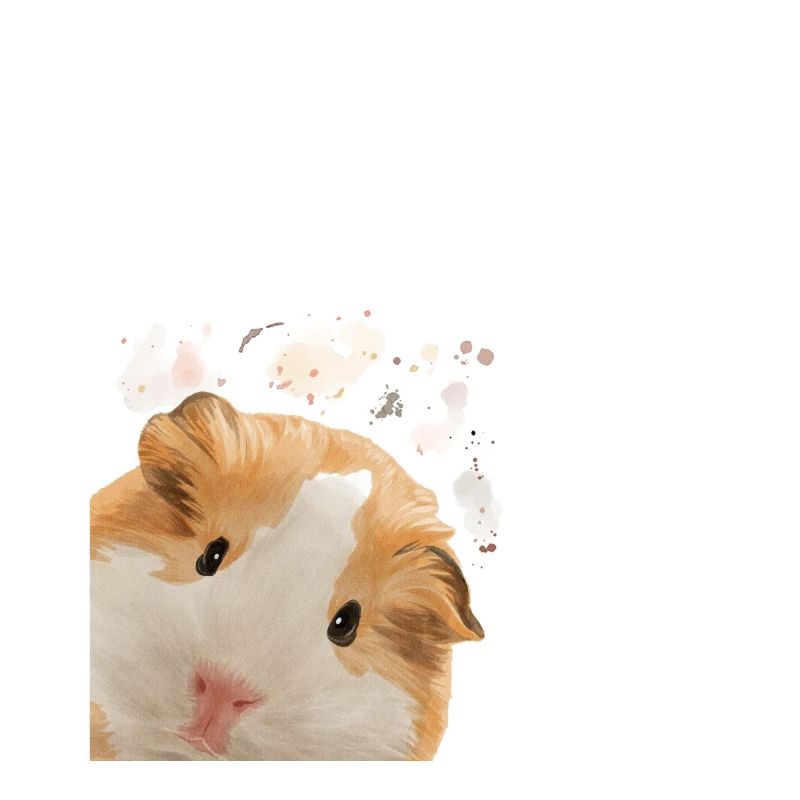 Neugieriges Meerschweinchen