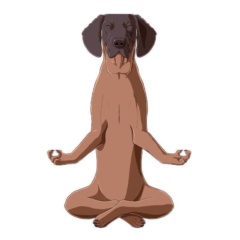 Bayerischer Gebirgsschweißhund Meditation