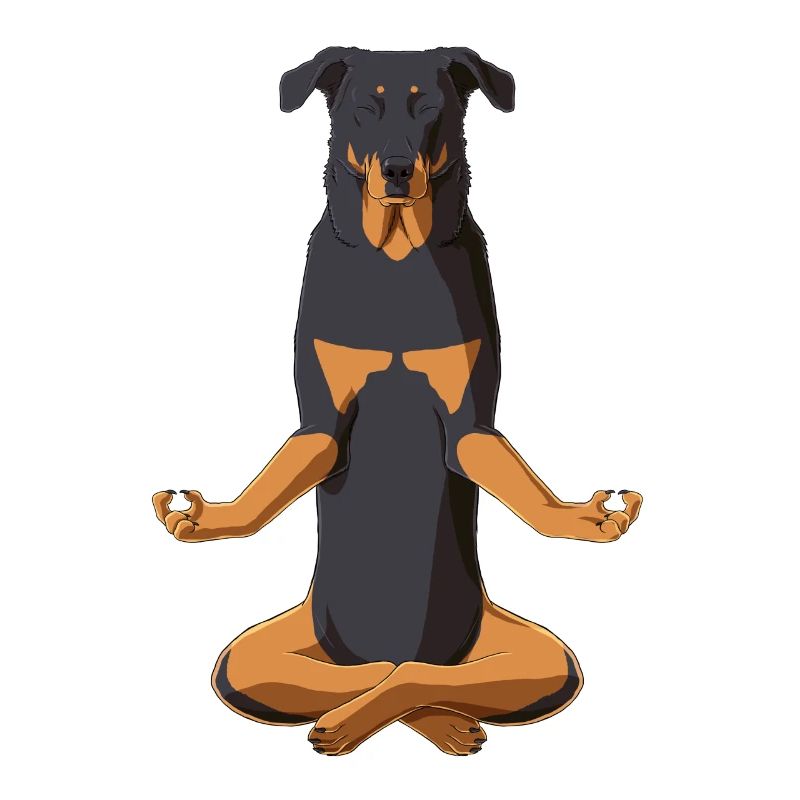 Beauceron Hund Meditation