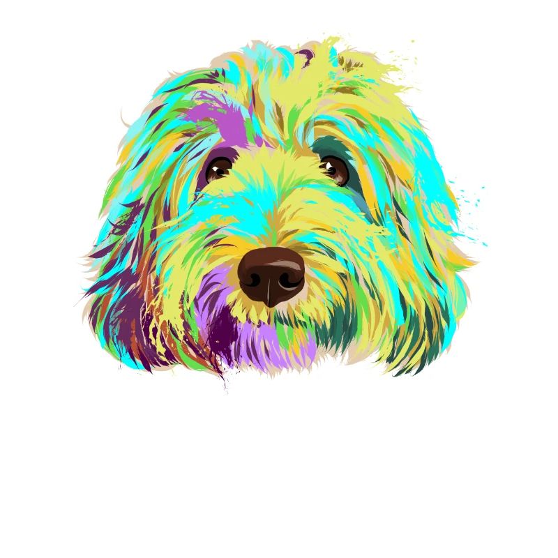 Labradoodle Hund